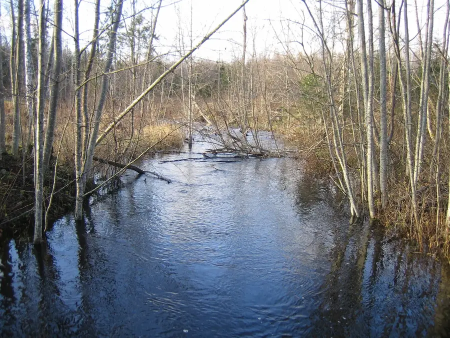 Kool-Nukk — Endla Mire (Estonia)