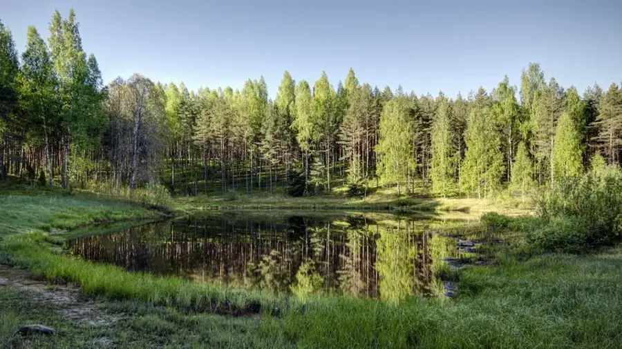 Mustoja Landscape Reserve