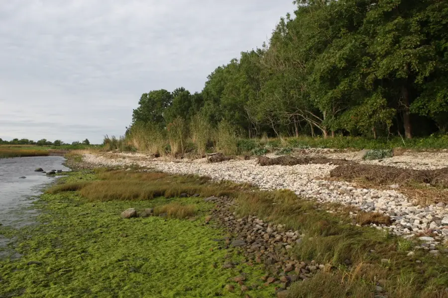 Puhtu-Laelatu Nature Reserve