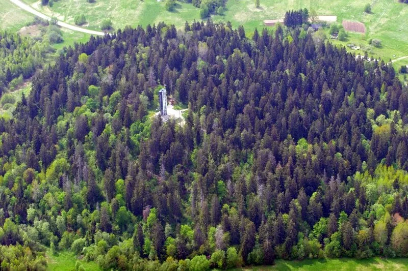 Suur Munamägi