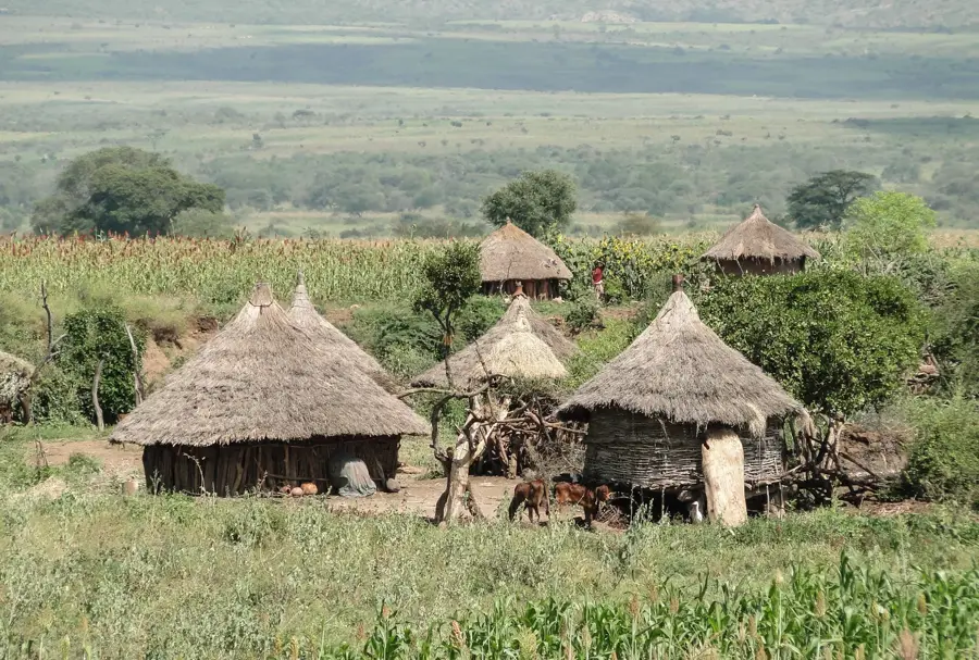 Konso