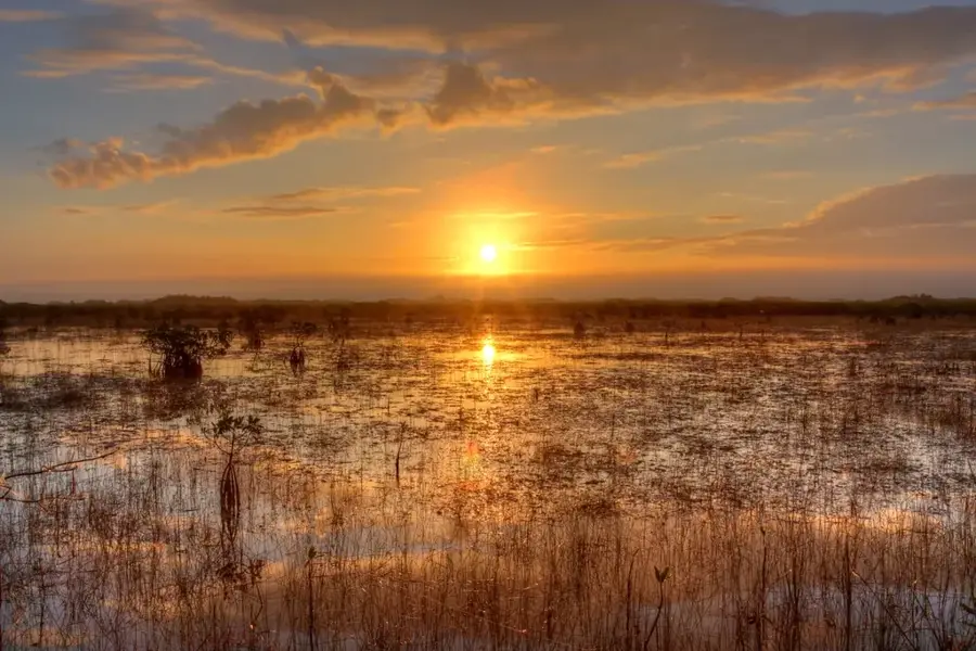 Everglades-Nationalpark
