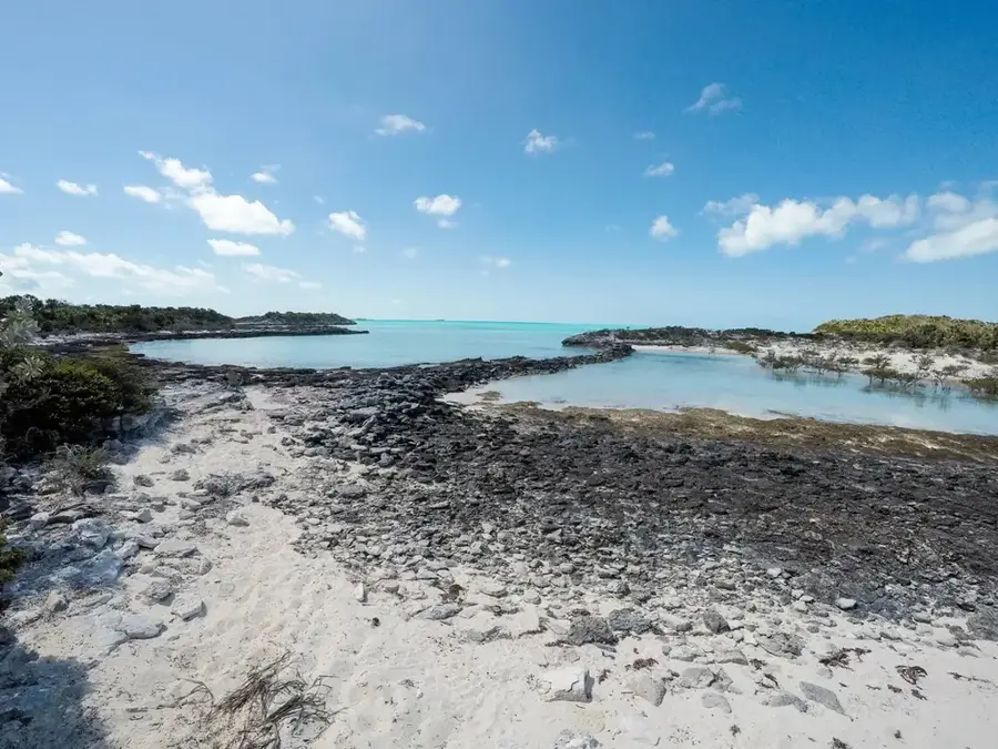 Fauna din Parcul Terestru și Marin Exuma Cays — Staniel Cay (Bahamas)