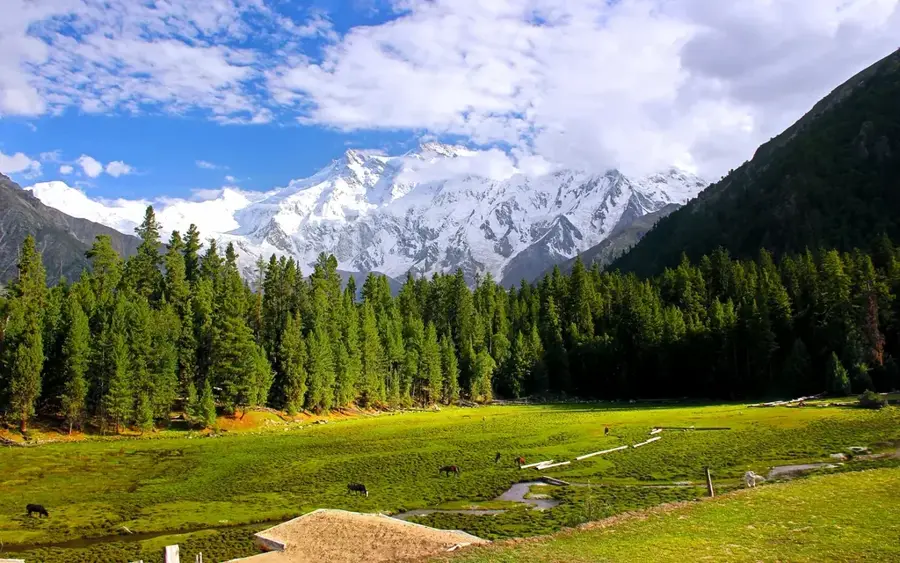 Pajiștile Zânelor — Lacul Wular (India)
