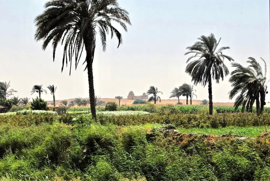 Faiyum