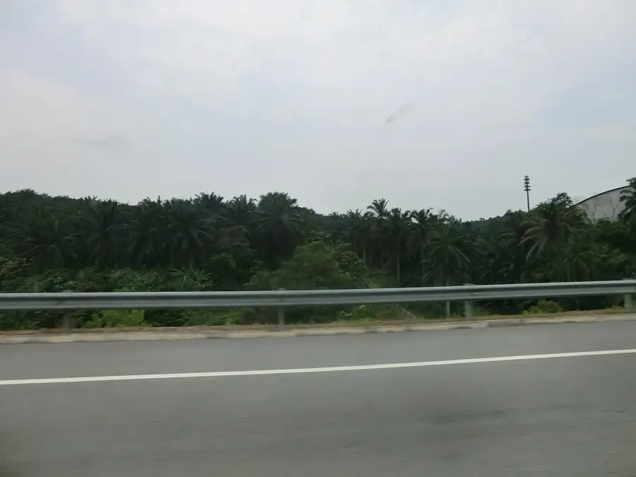 Ferma din oraș — Sekinchan (Malaysia)