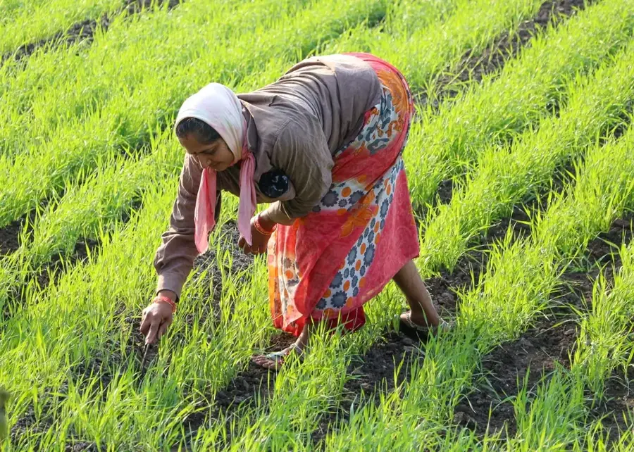 Geflügelfarm Thiès — Abtei Keur Moussa (Senegal)