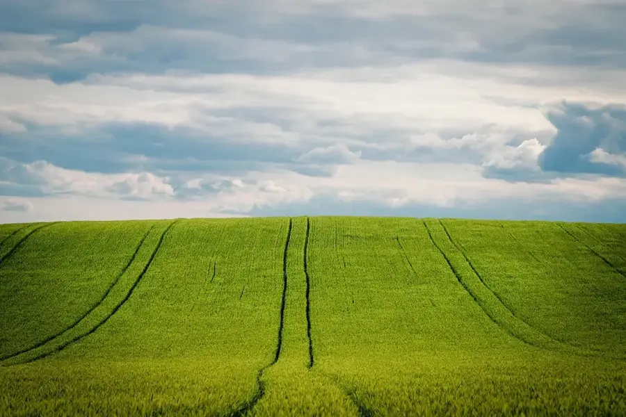 Filingué Getreide-Feld