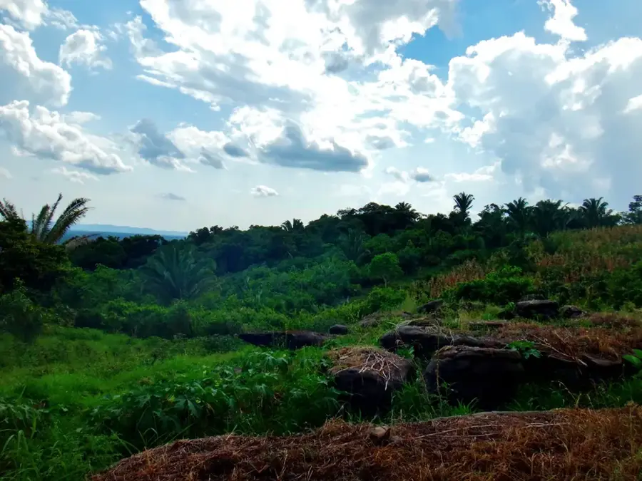 Panama Agroecological Farm
