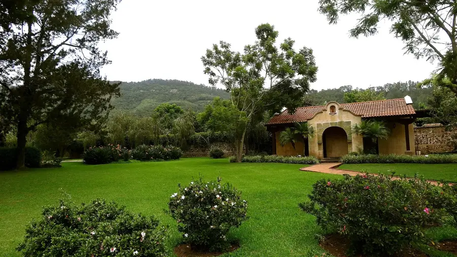 Plantația de cafea Finca Filadelfia