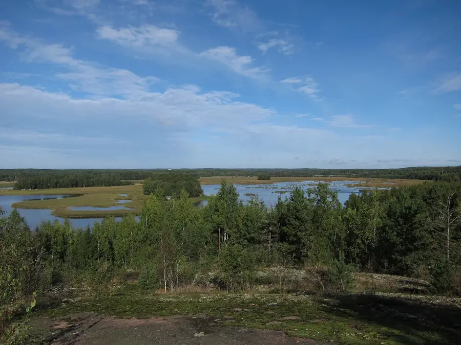 Kaarniemi