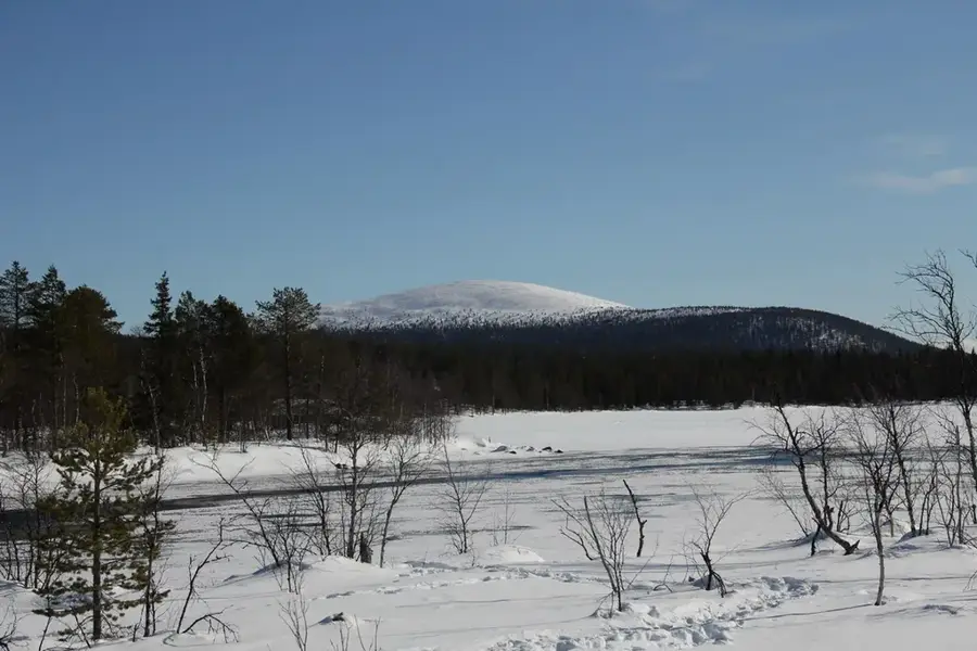 Keimiötunturi