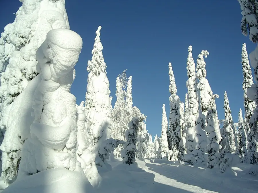 Kuusamo — Kemijoki (Finnland)