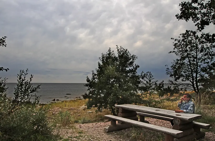 Reposaari