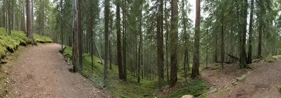 Seitseminen Nemzeti Park