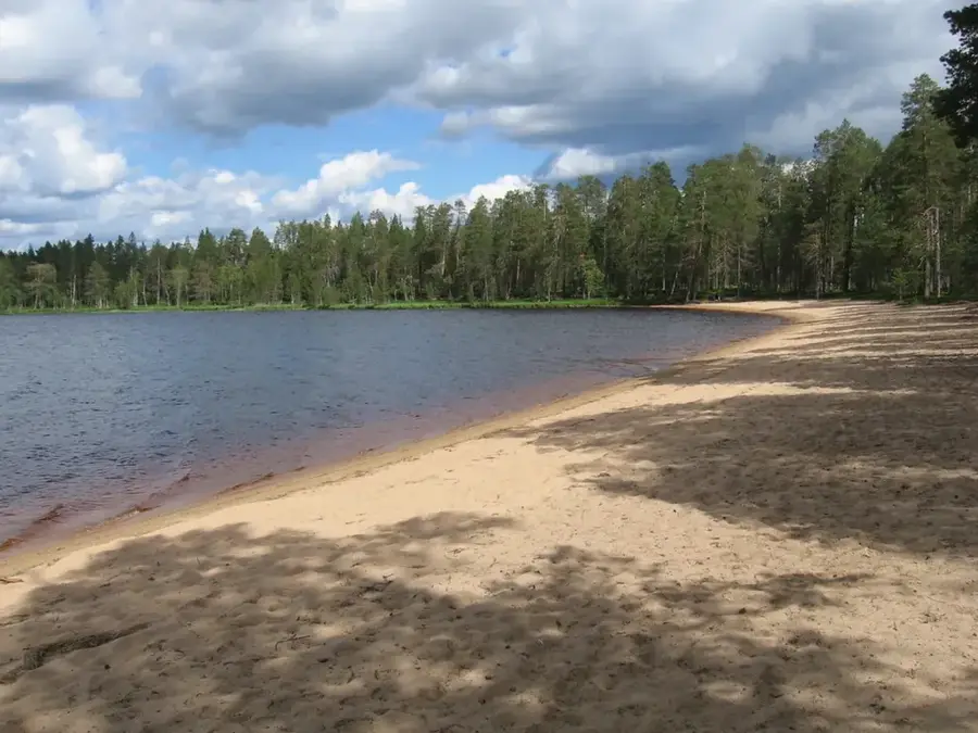 Parcul Național Tiilikkajärvi — Nurmes (Finlanda)