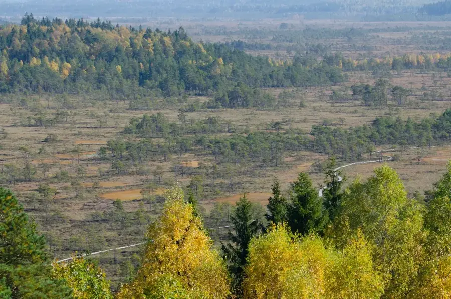 Torronsuo National Park — Tervakoski (Finland)