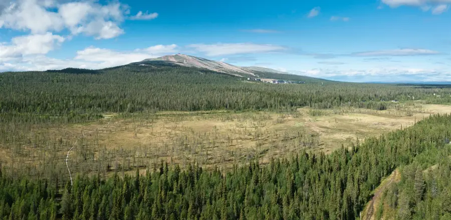 Ylläs