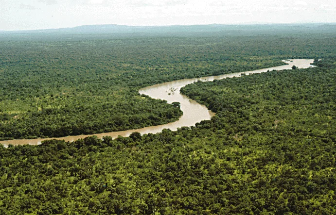 Gambia-Fluss