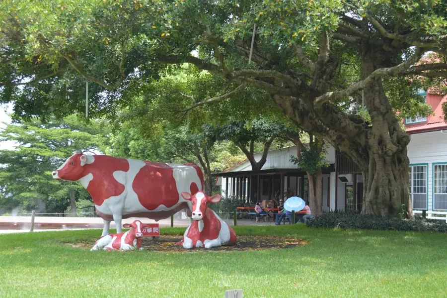Ferma Flying Cow — Changhua (Taiwan)