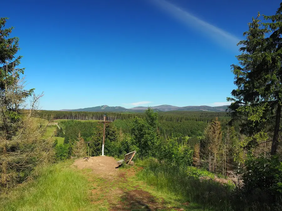 Harz National Park (Saxony-Anhalt) – forest