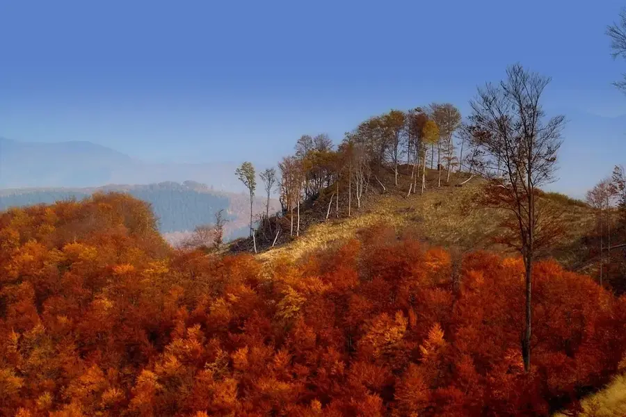 Mátra-Wälder