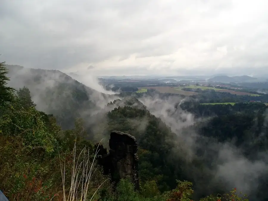 Saxon Switzerland National Park – forest