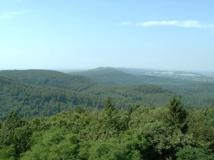 Teutoburg Forest – forest