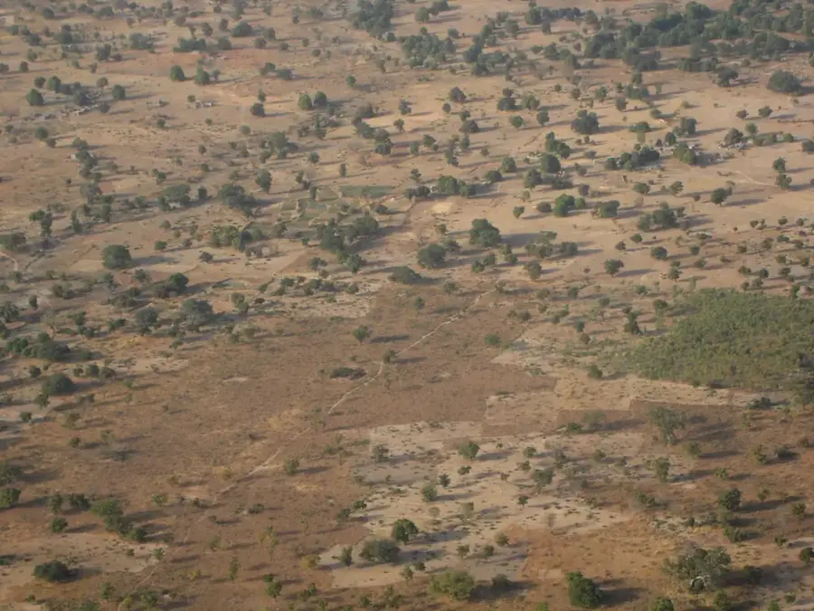 Sissili Forest