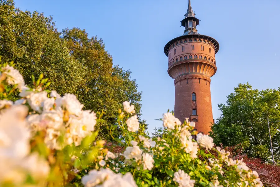 Forst (Lausitz) – city