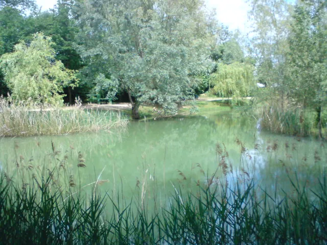 Foulayronnes – város