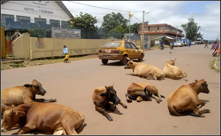 Fouta-Djallon-Archiv — Bafing (Guinea)