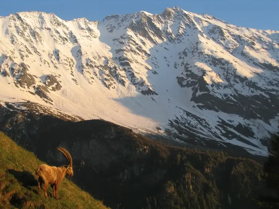 Vanoise NP