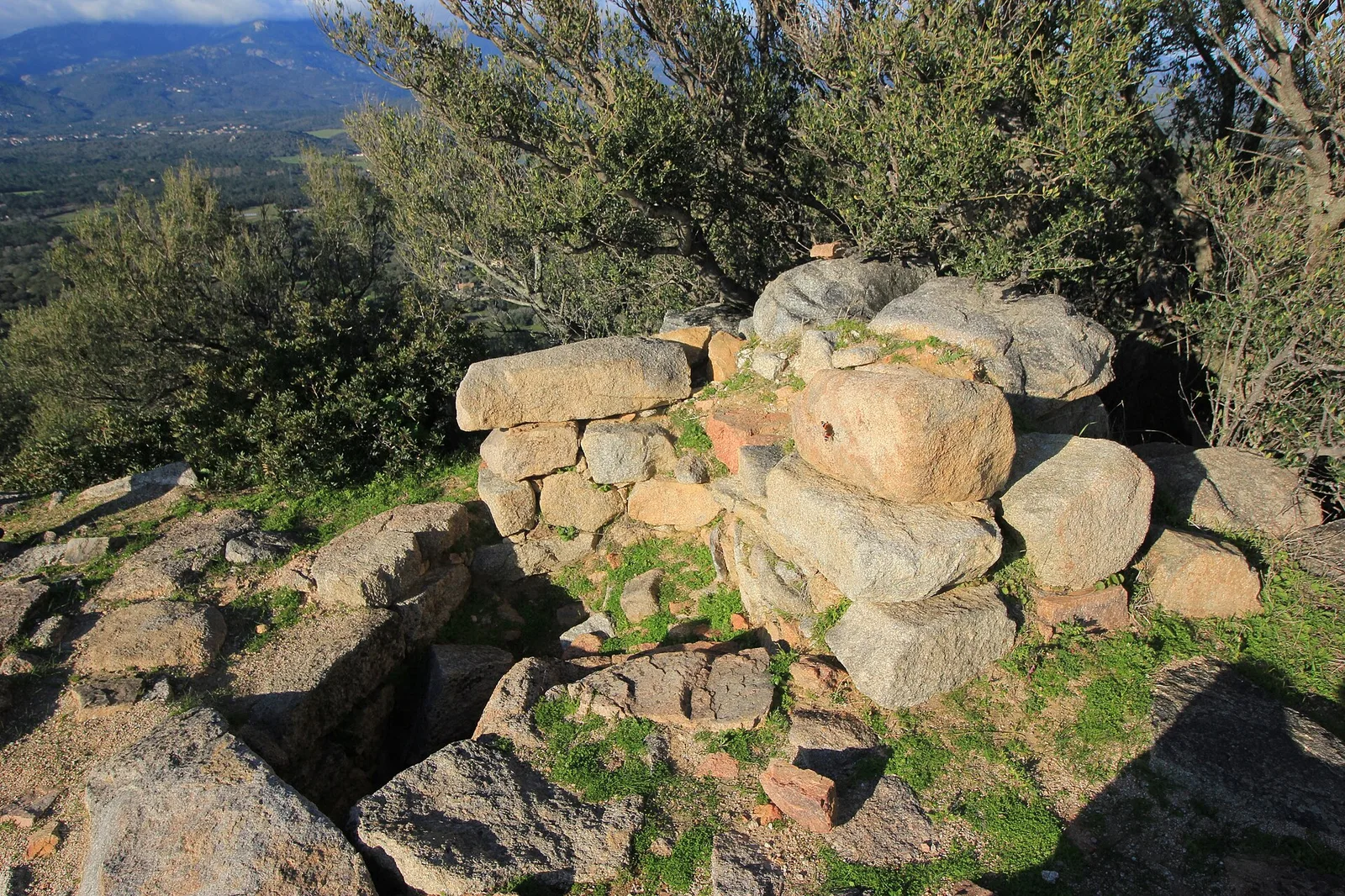 Ceccia – város