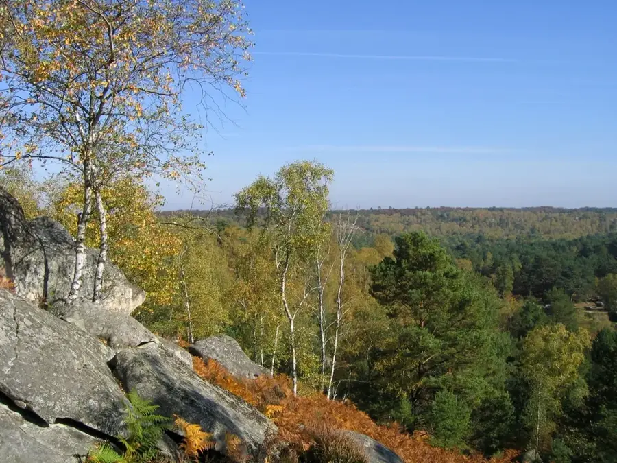 Pădurea Fontainebleau – pădure