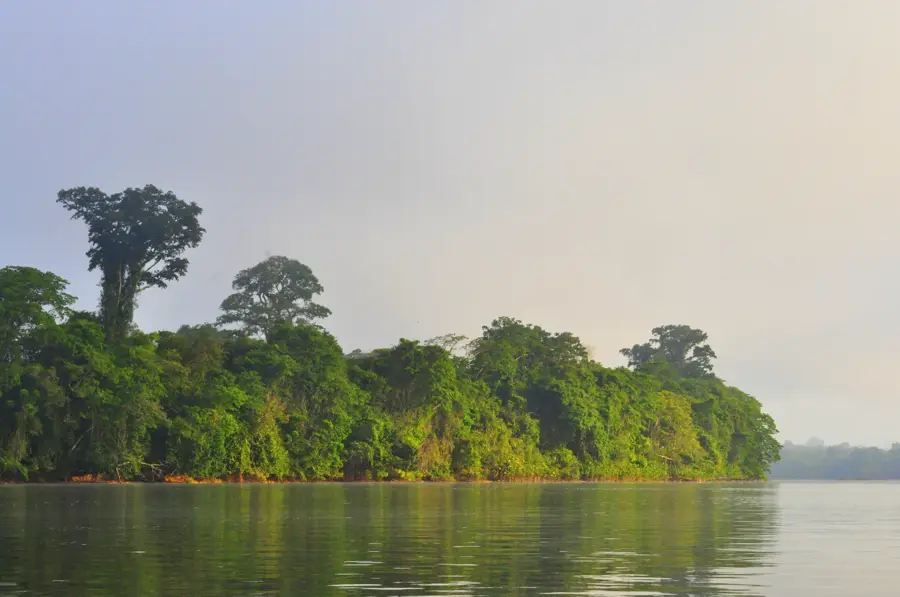 Guiana Amazonian National Park