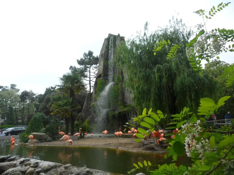 La Palmyre – város