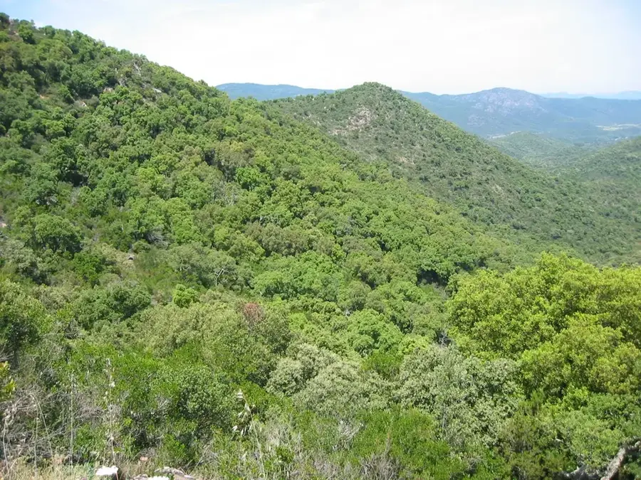 Massif des Maures – munte