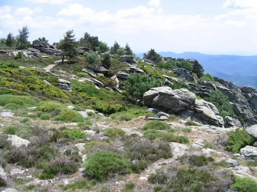 Mont Caroux – munte