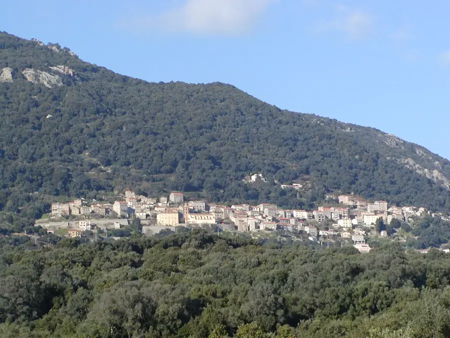 Olmeto – oraș