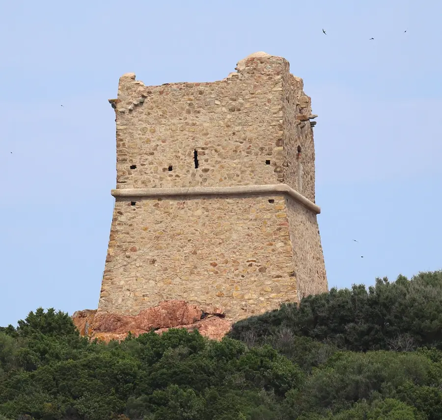 Pinarellu – város