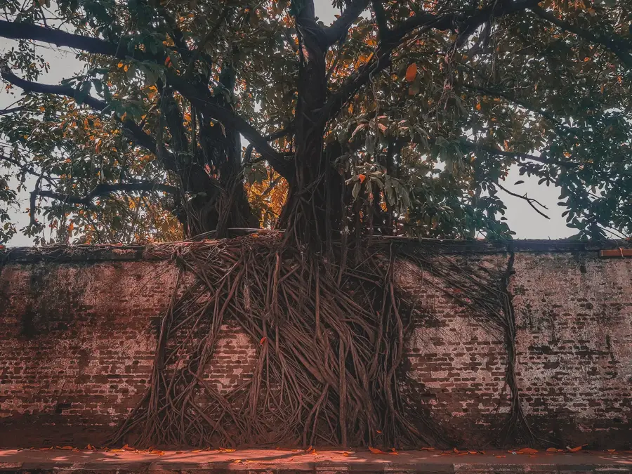 Parcul Libertății Lagos