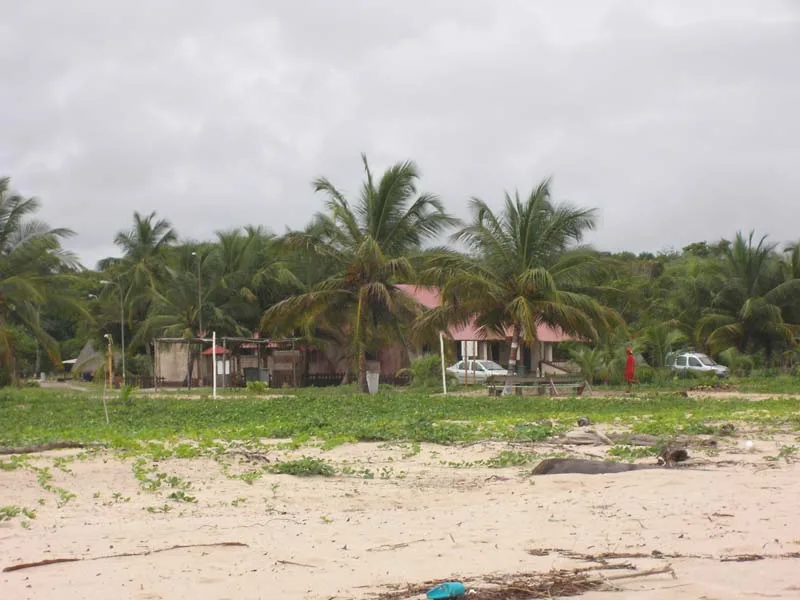 Awala-Yalimapo — Pic Coudreau (Francia Guyana)
