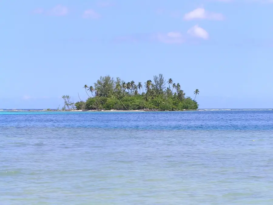 Marae Afareaito — Ananasfelder von Afareaitu (Französisch-Polynesien)