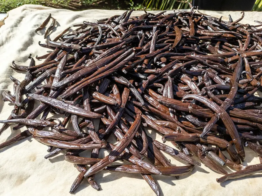 Marae Manunu — Faie (French Polynesia)