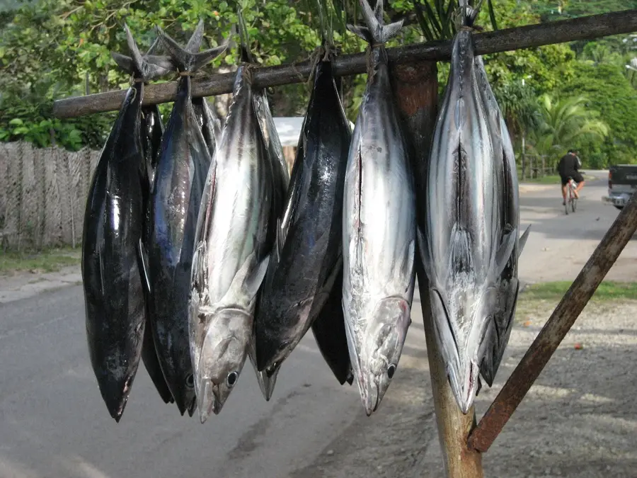 Marae Vaiahu (Maeva) — Faie (French Polynesia)