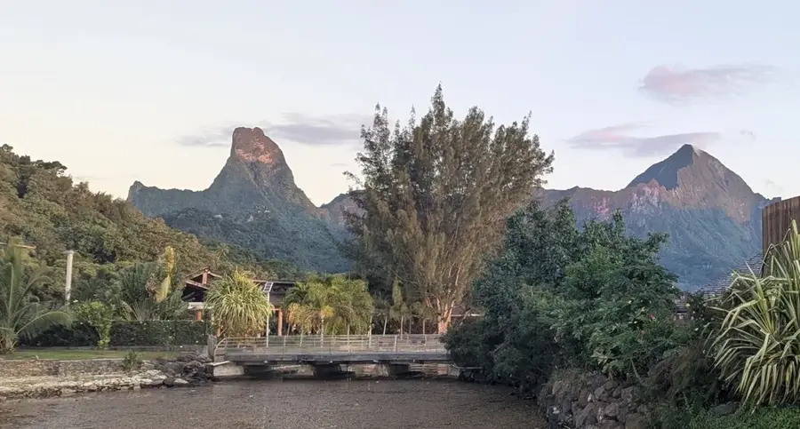 Berg Mouaputa — Ananasfelder von Afareaitu (Französisch-Polynesien)