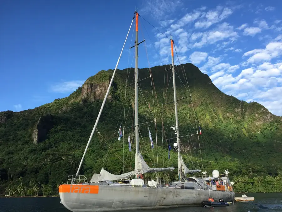 Opunohu Temple — Opunohu Bay (French Polynesia)