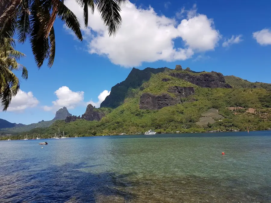 Paopao — Rangiroa Vineyard (French Polynesia)