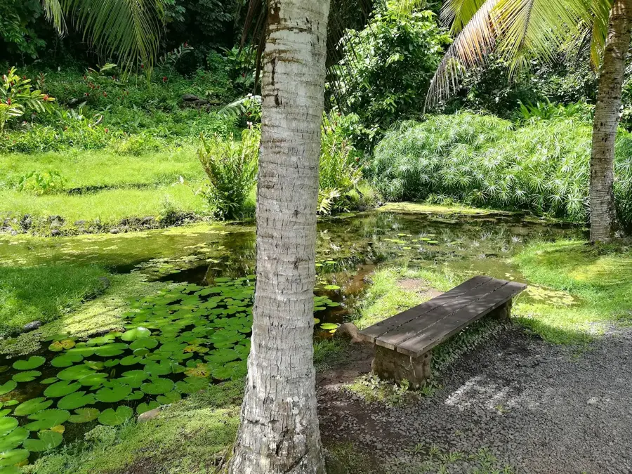 Papeari — Rangiroa Vineyard (French Polynesia)